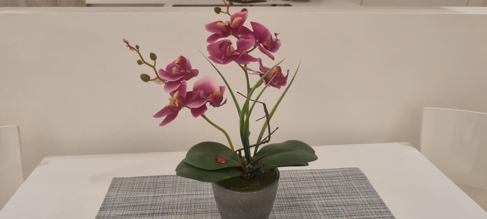 A Catania ...Casa Fabio 아파트 외부 사진
